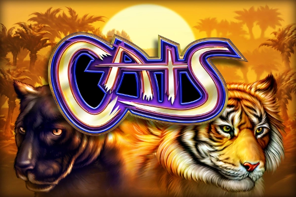 Cats at Spinfin casino